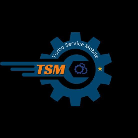 ⚡️TSM Tool Pro Rent  [ Auto Get Username + Password ] = [ Time: - 6 Hours ] - Server 1